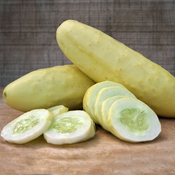 cucumber slicer reviews