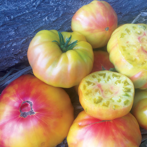 Determinate Slicer Tomato Seeds – Harris Seeds