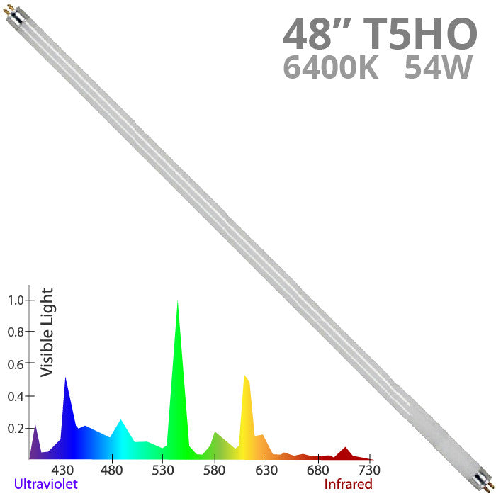 6400k light spectrum