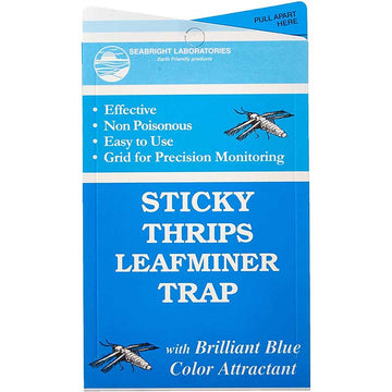 VivaTrap! Clear Sticky Trap & Stink Bug Combination Lure