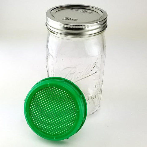 Sprout Jar and Lid