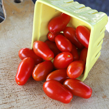 Tomato San Marzano Seed – Harris Seeds