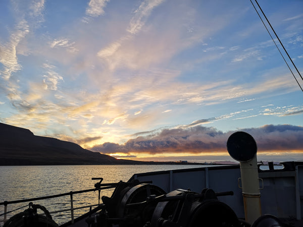 Collecting Ice From Svalbard - Iceberg Expedition 2020