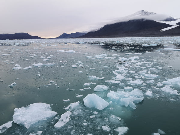 Collecting Ice From Svalbard - Iceberg Expedition 2020