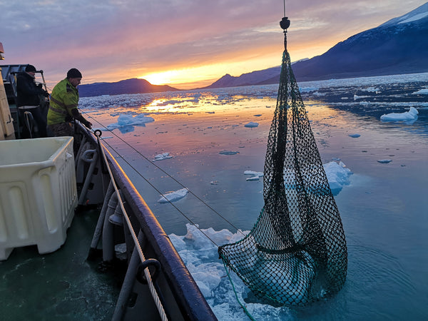 Collecting Ice From Svalbard - Iceberg Expedition 2020