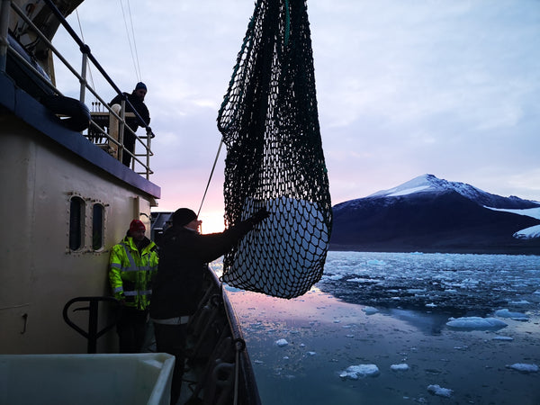 Collecting Ice From Svalbard - Iceberg Expedition 2020