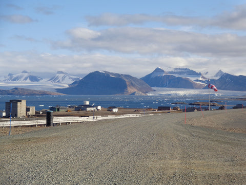 winter ice decline in svalbard climate change