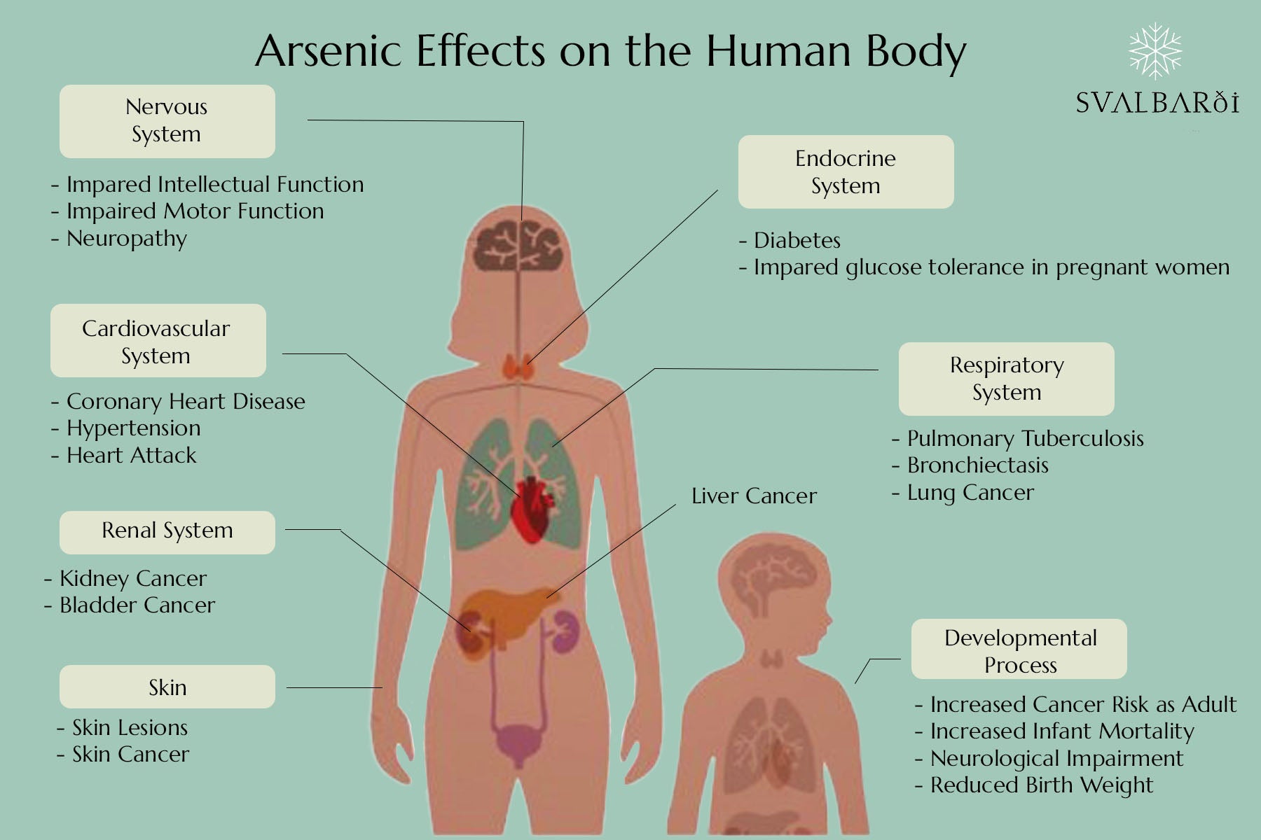 Arsenic Effect on Human Body