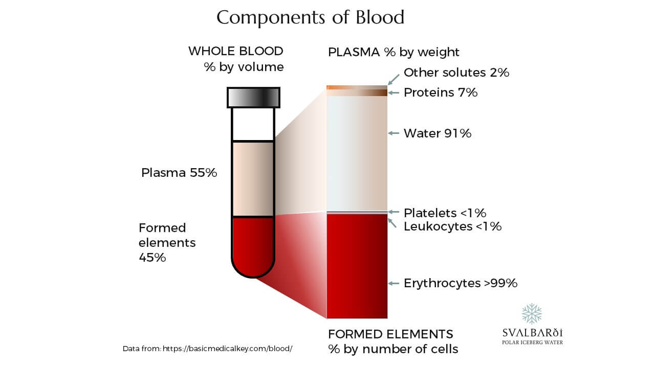 Components of Blood Including Water