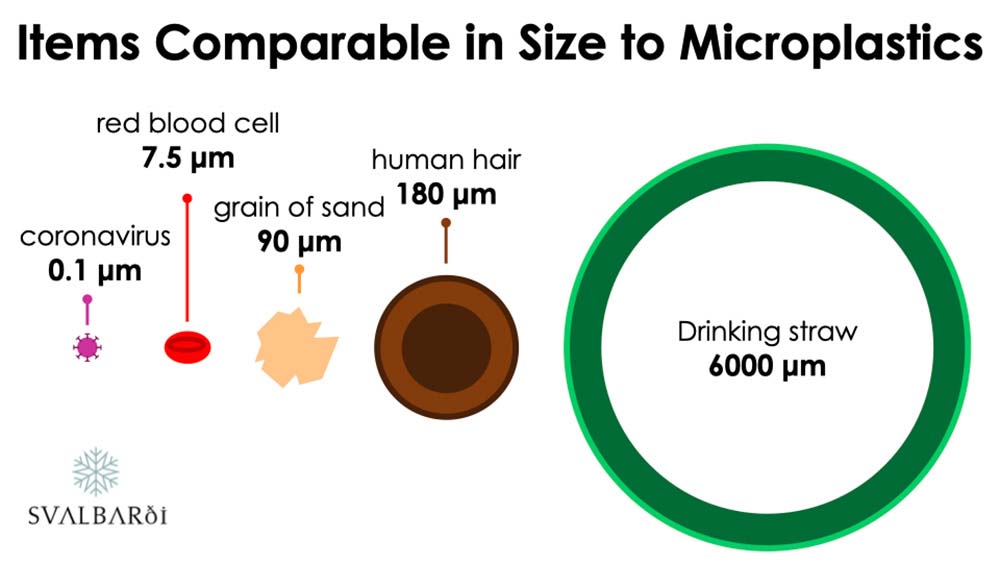 Items of Comparable Size to Microplastics