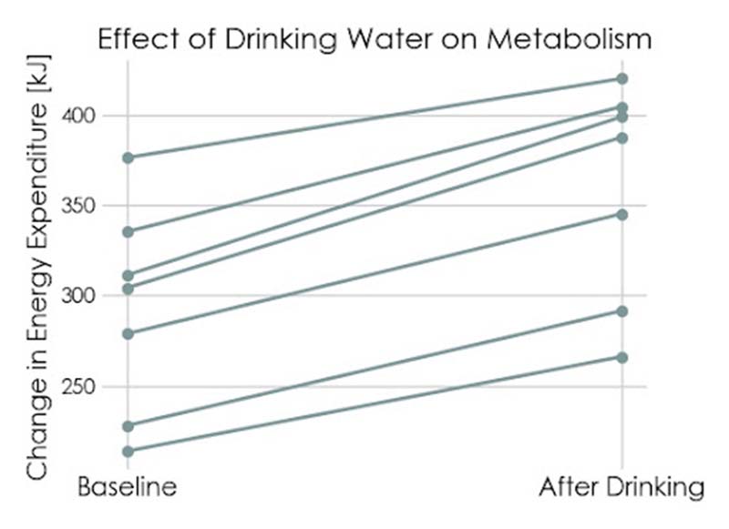 Effect of Drinking Water on Metabolism