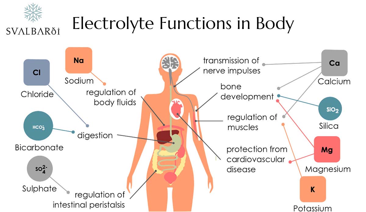 Electrolyte Functions in Body