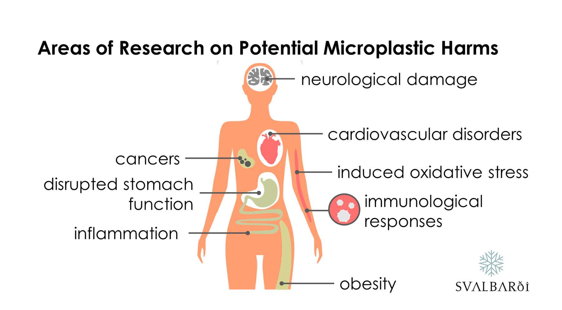 Harms of Microplastics in Water