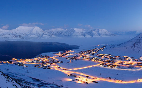 8 must-try food and beverages in svalbard