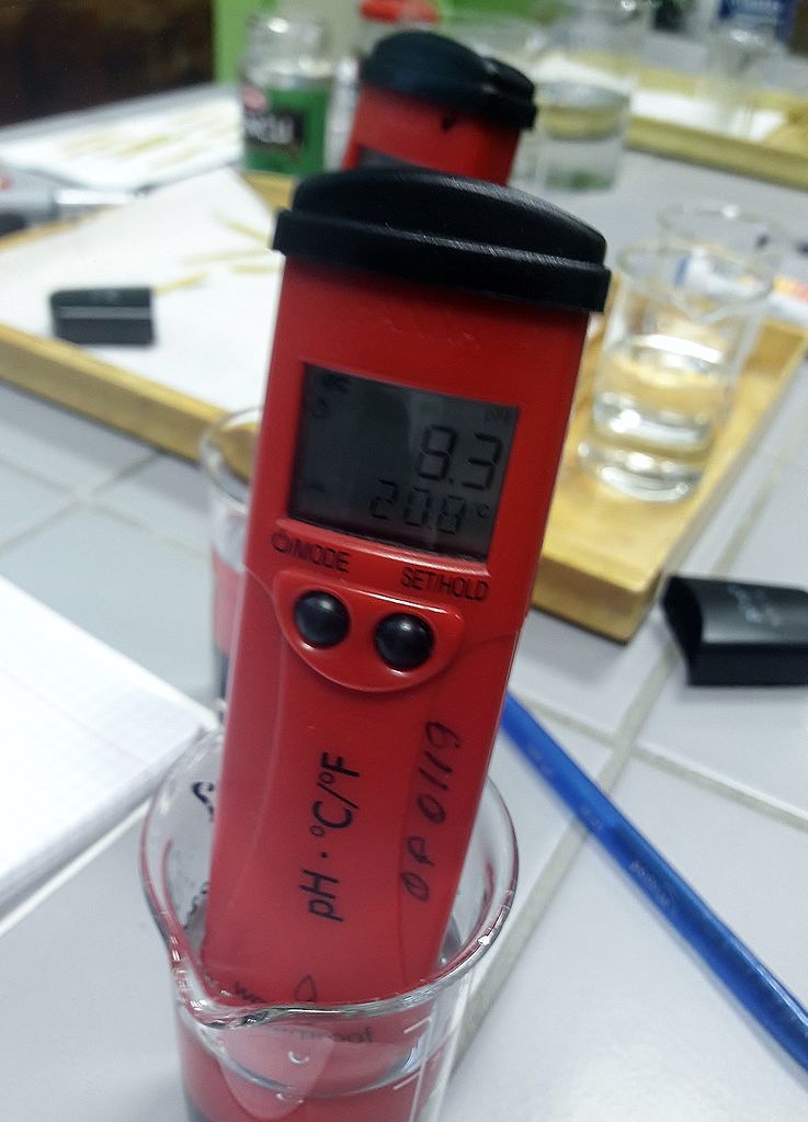 Handheld pH meter