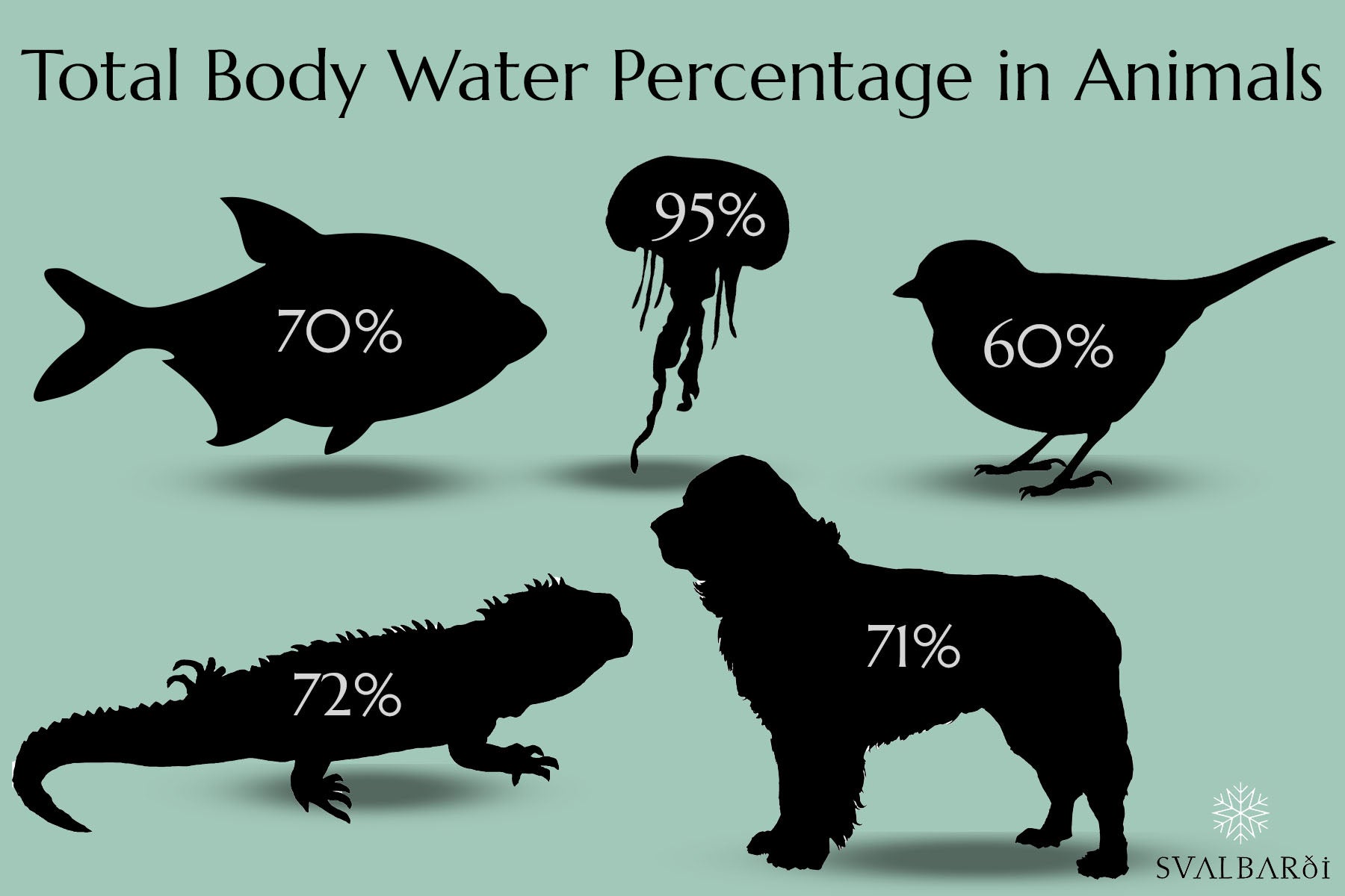 Water Percentages in Animals