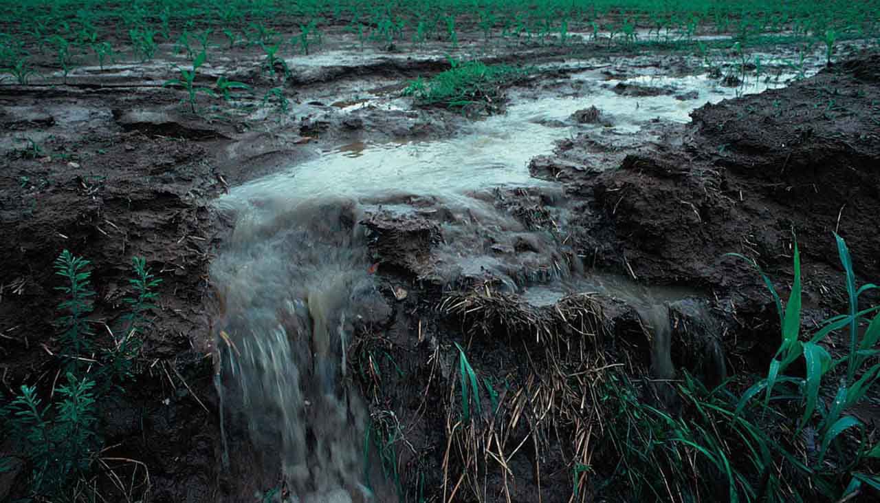 Water Pollution Runoff