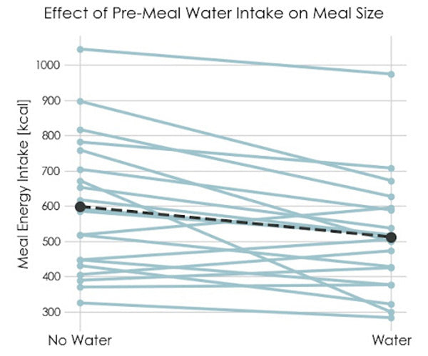Effect of Pre-Meal Water Intake on Meal Size