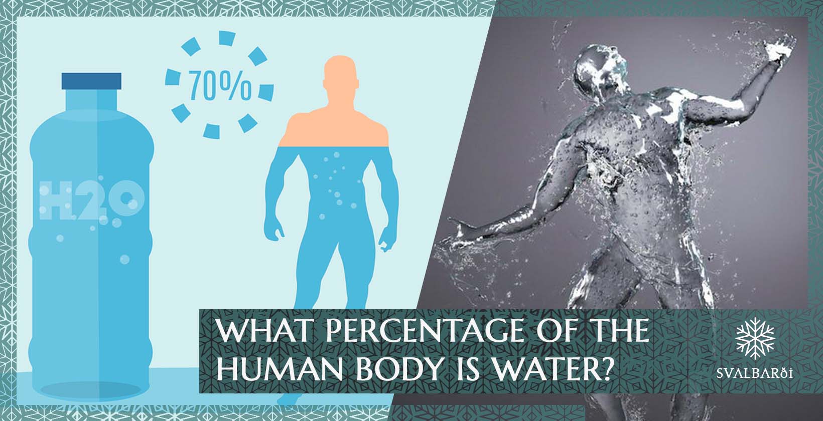 Water Percentage of the Human Body