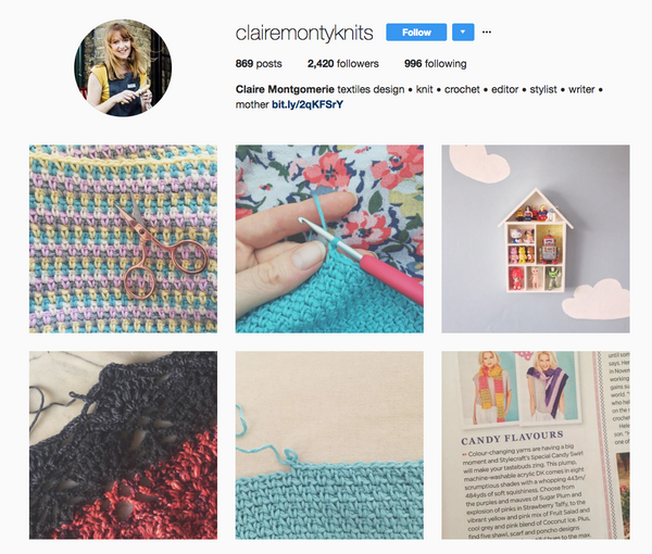 Beginner's Guide to Crochet, The by Claire Montgomerie