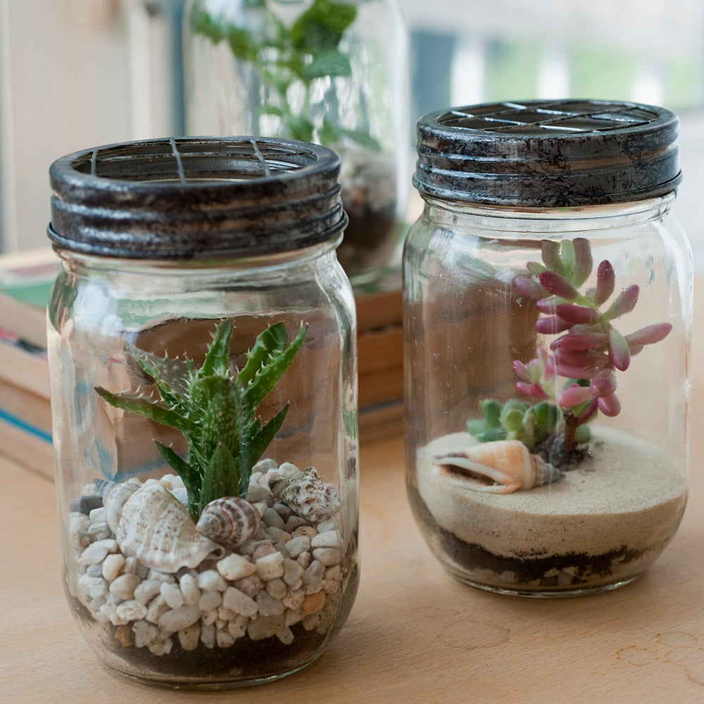 Tiny Tabletop Jar Terrariums with succulents