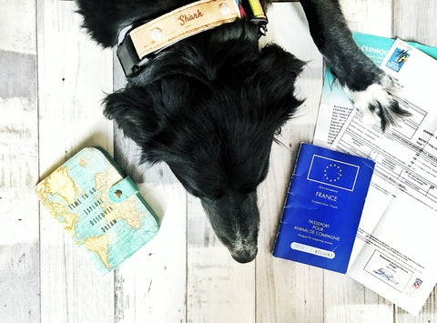Geopetric Dog: Pet travel documents