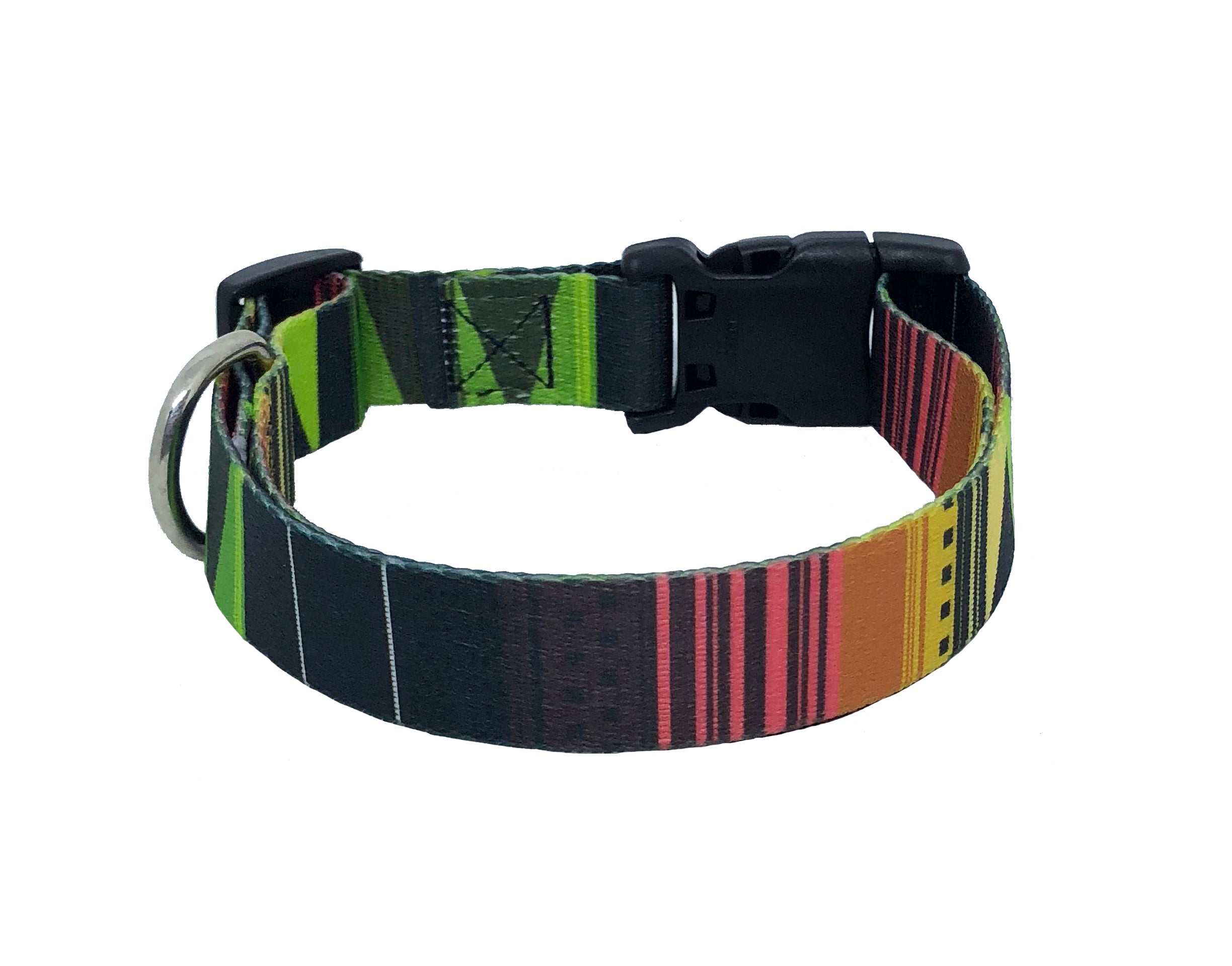 Pawsome Standard Dog Collar