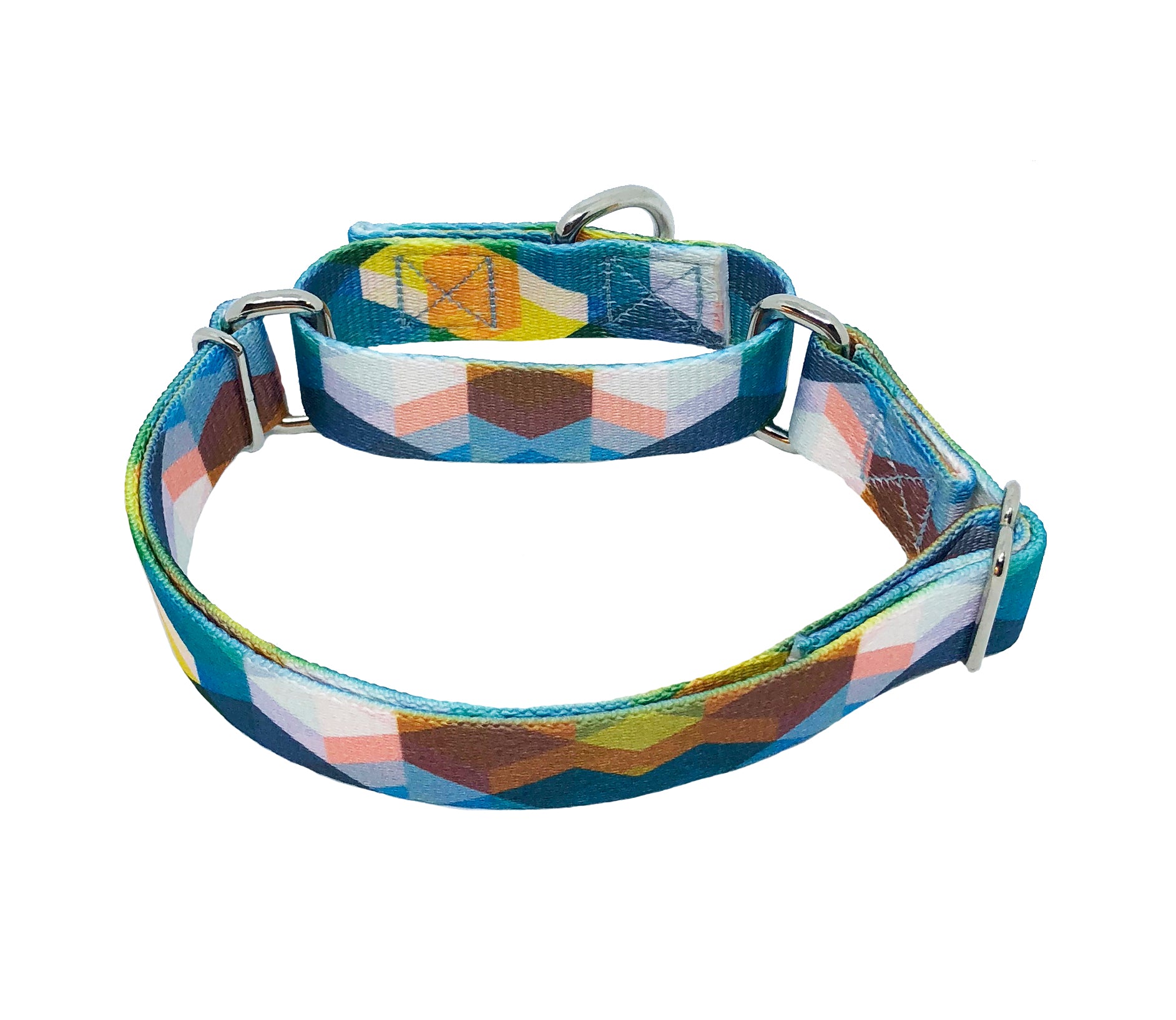 Play Day Martingale Dog Collar