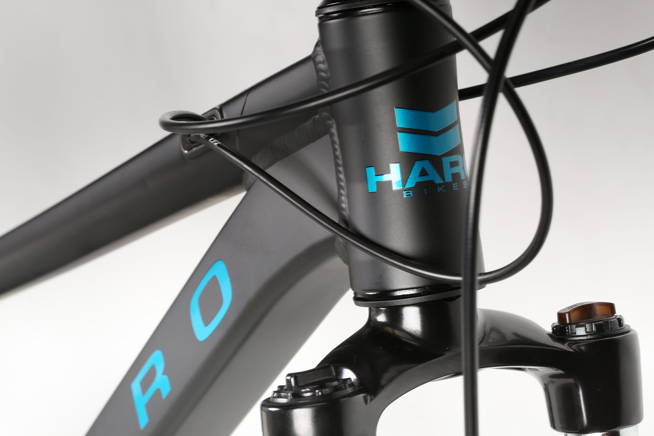 haro 2019 flightline one rigid mountain bike