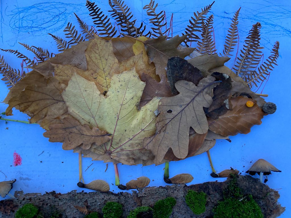 Creating Nature Art with Kids