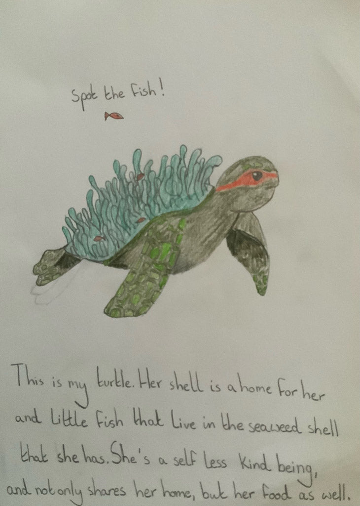turtle-shell-competition