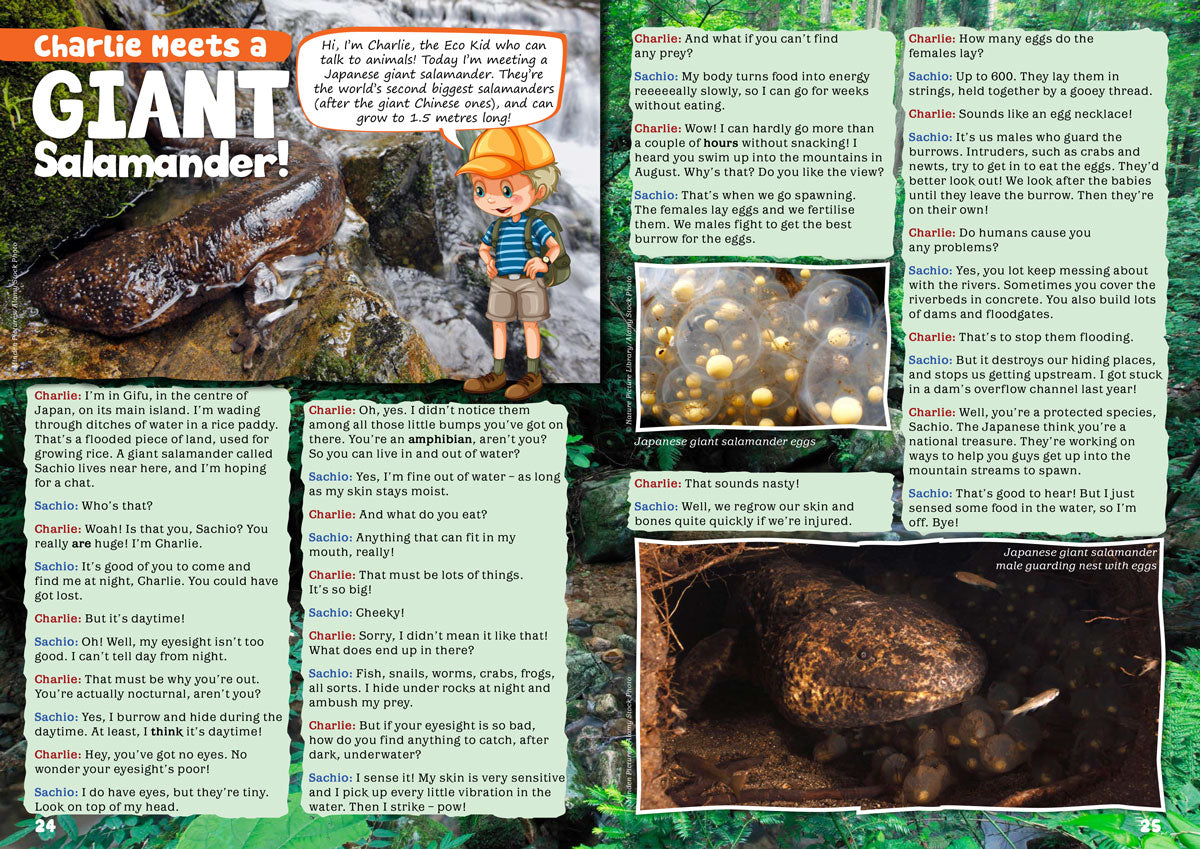 giant-salamander