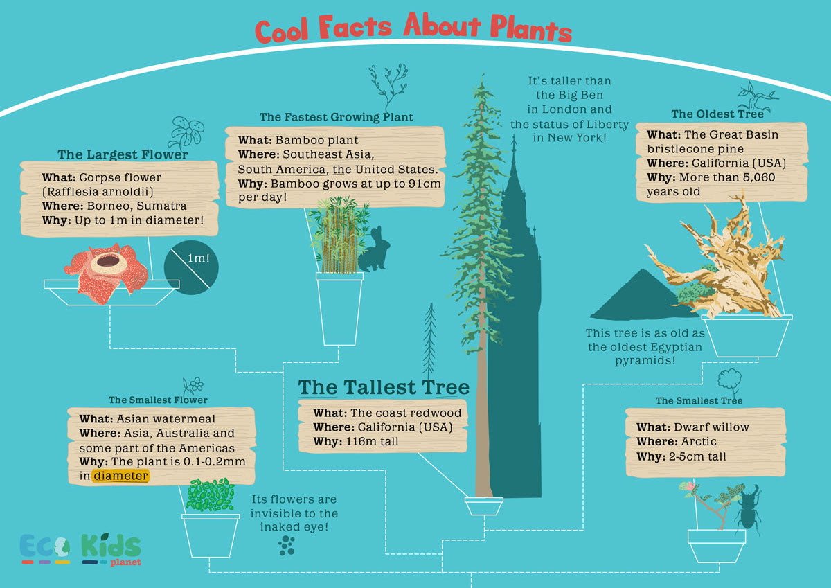 cool-facts-about-plants-infographic
