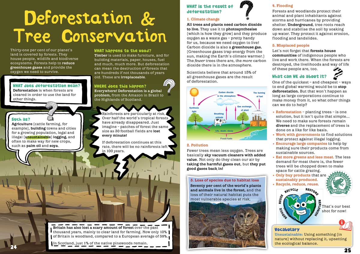 deforestation-tree-conservation