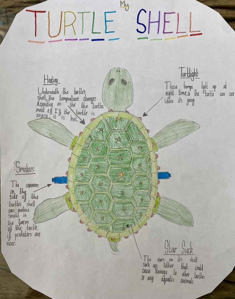 turtle-shell-children-competition