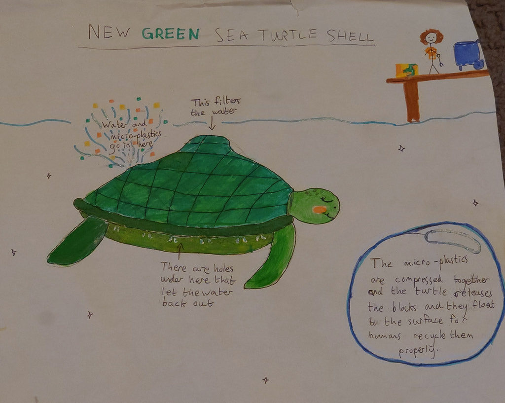 turtle-shell-children-competition