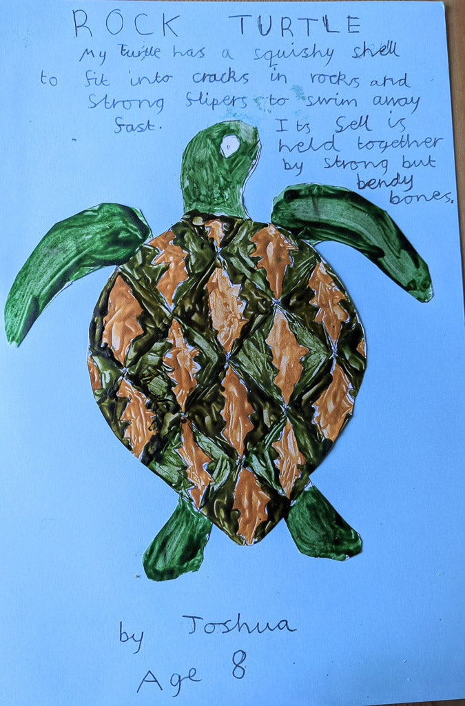 children-competition-design-turtle-shell