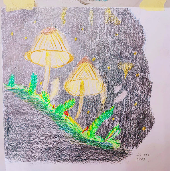 glowing mushrooms art