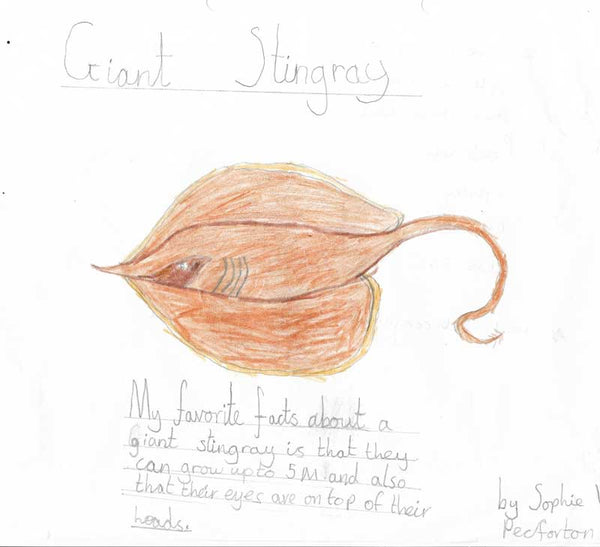 giant-stingray-child-drawing