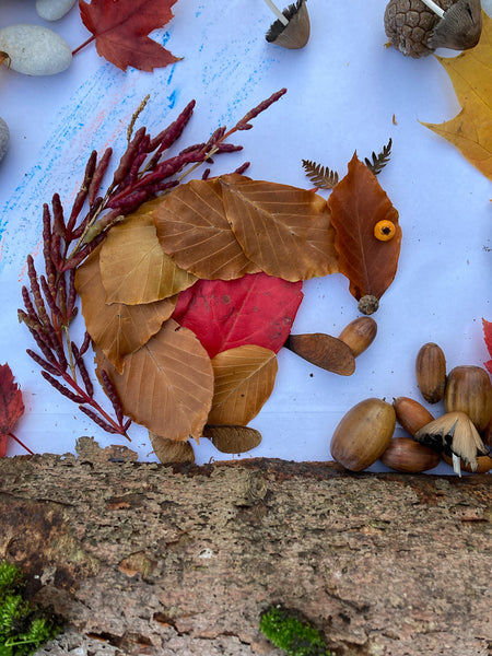 red-squirrel-nature-art-primary-school