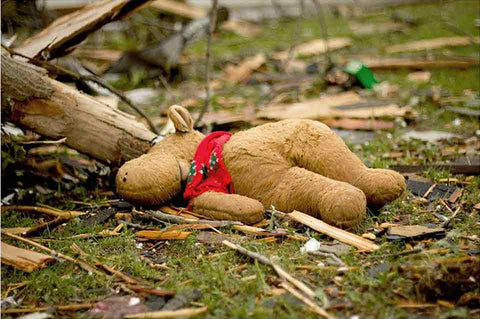 A stuffed animal laying among the wreckage.