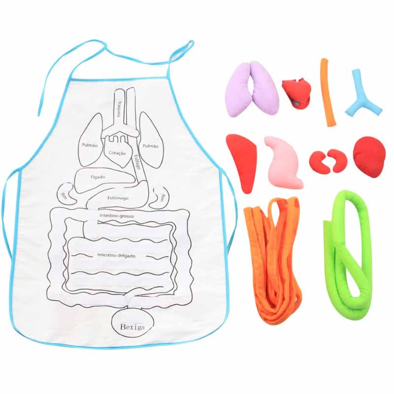 human body apron