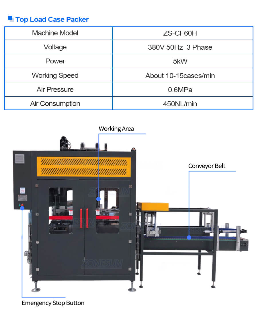 Top loading case packer