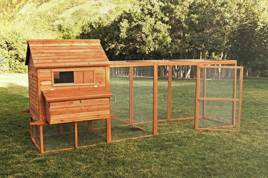 Chicken Coops & Hen Houses - ProDuct Image Ranch Small 900x600