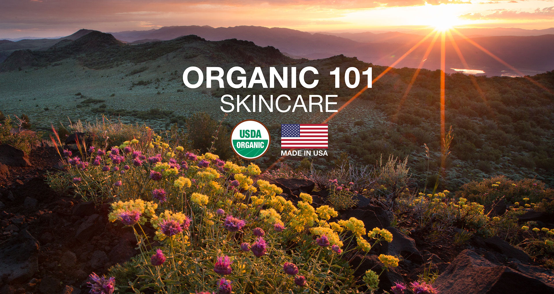 organic 101 skincare