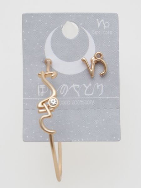 HIRAGANA Zodiac Earrings