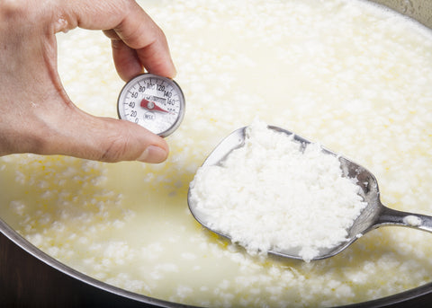 Urban Cheesecraft thermometer checking goat cheese curd