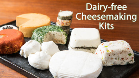 Dairy Free cheeses made with Urban Cheesecraft kits