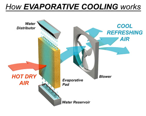 how-evaporative-cooling-works