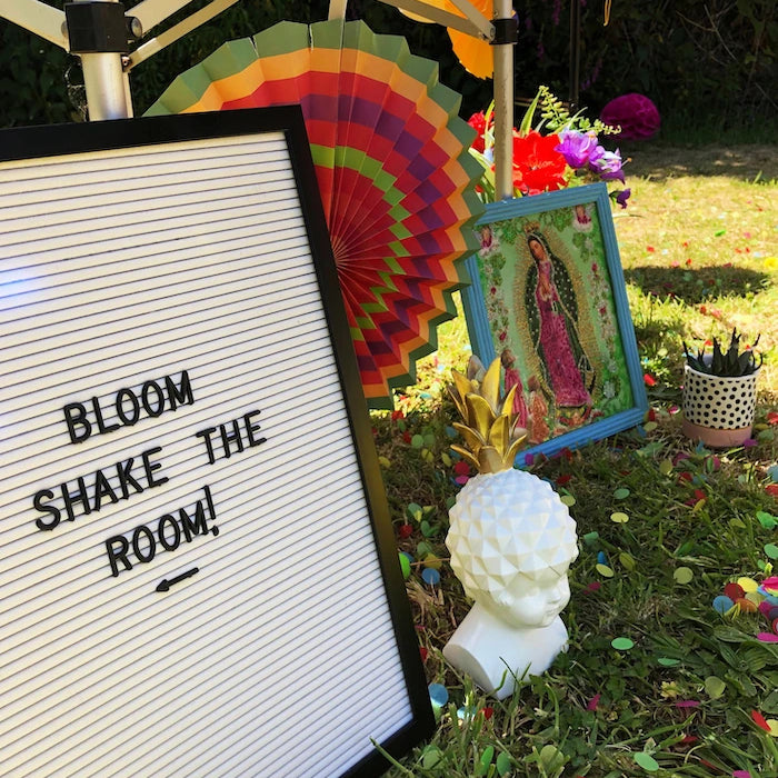 Close up of a sign that says 'bloom shake the room' in a garden surrounded by colourful props